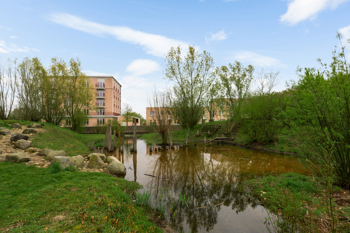 Project Terneuzenwegel