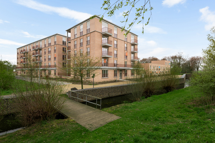 Project Terneuzenwegel