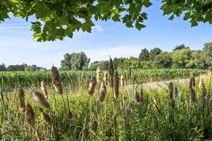 Uitzonderlijke villa in rustig omgeving
