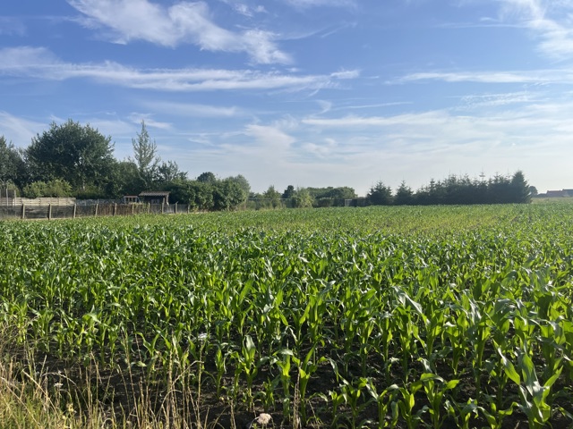 Villapercelen