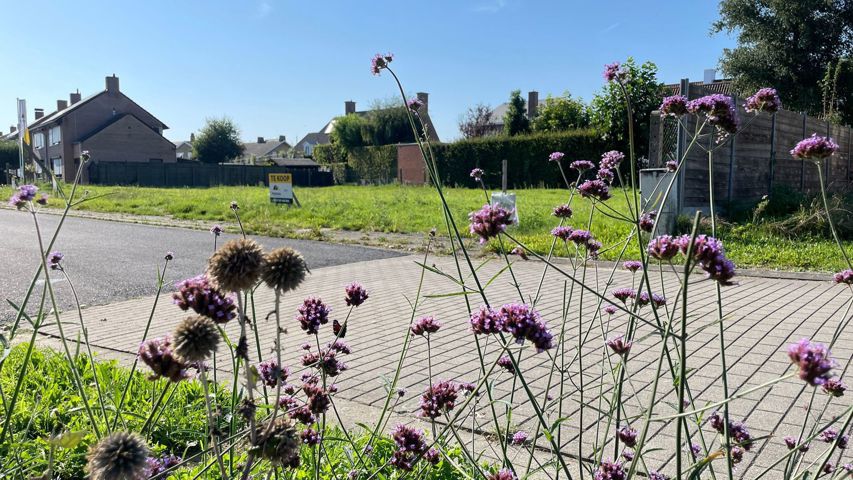 Nieuwe vrijstaande woningen te koop in Roeselare