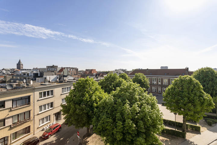 Vandenpeereboomstraat