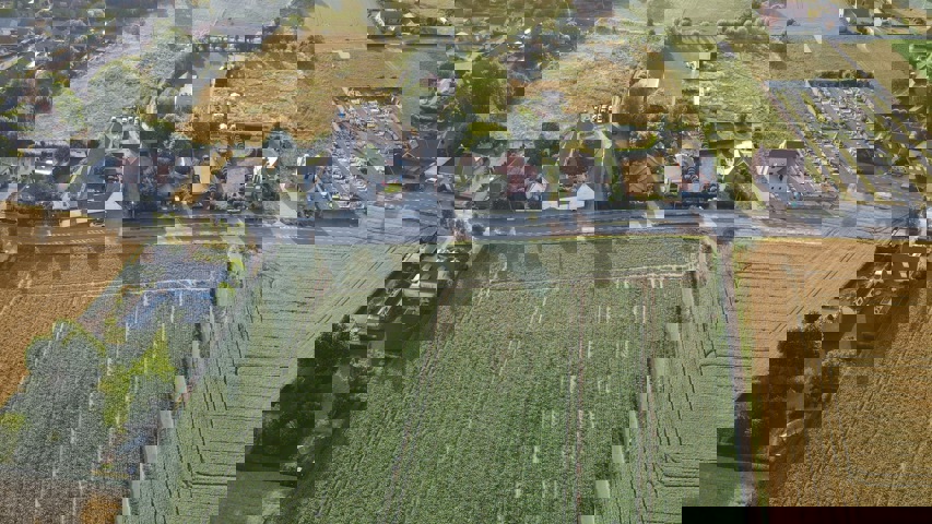 Pottes : Array Celles pottes A vendre