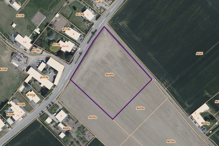 Pottes : Array Celles pottes A vendre