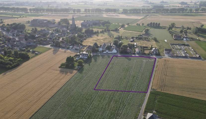 Pottes : Array Celles pottes A vendre