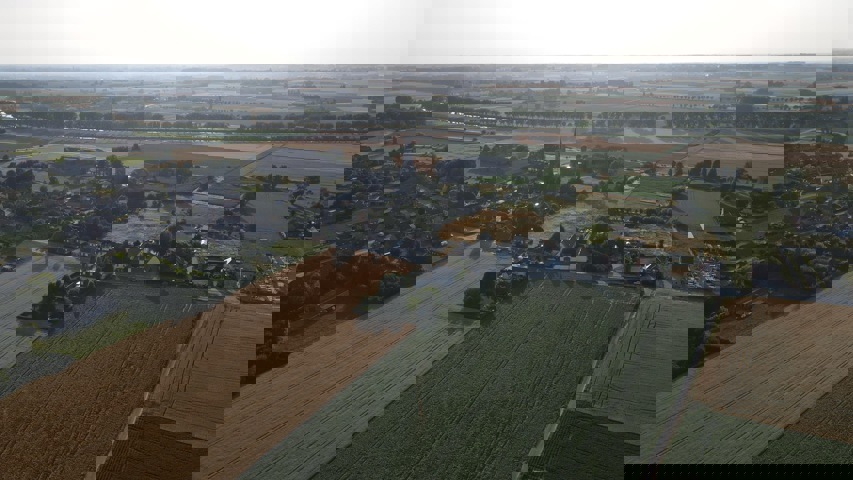 Pottes : Array Celles pottes A vendre