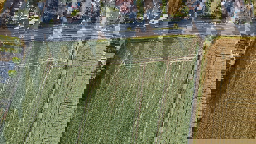 Pottes : Array Celles pottes A vendre