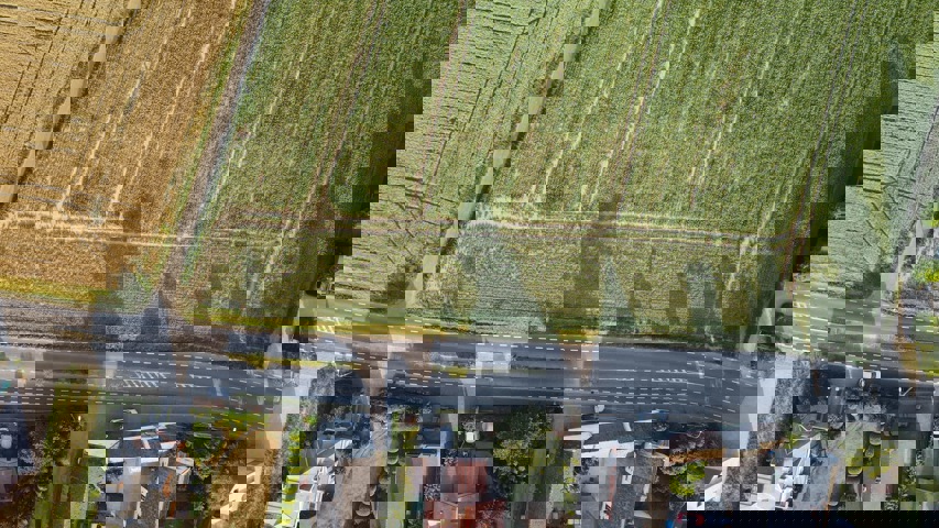 Pottes : Array Celles pottes A vendre