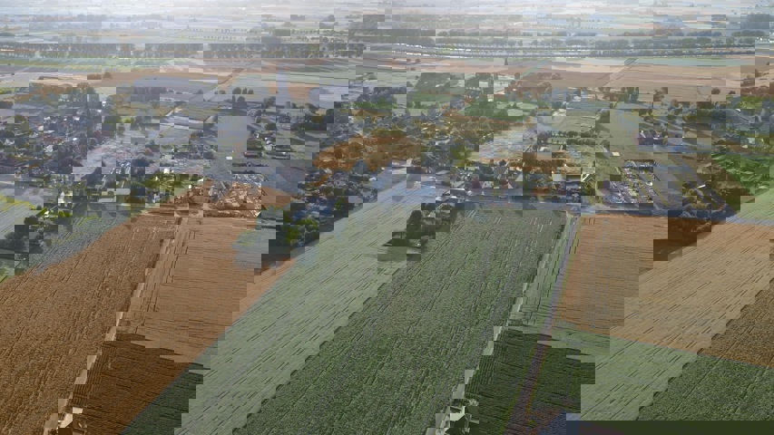 Pottes : Array Celles pottes A vendre