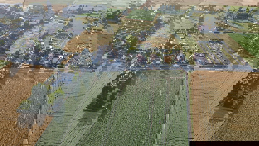 Pottes : Array Celles pottes A vendre