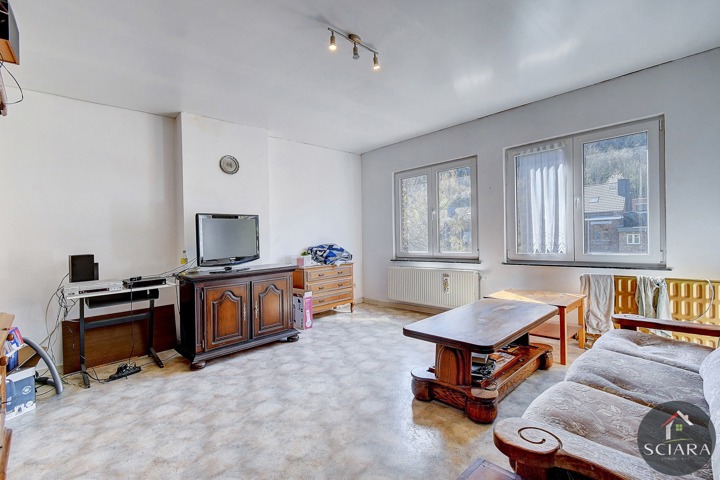 Immeuble mixte à vendre
