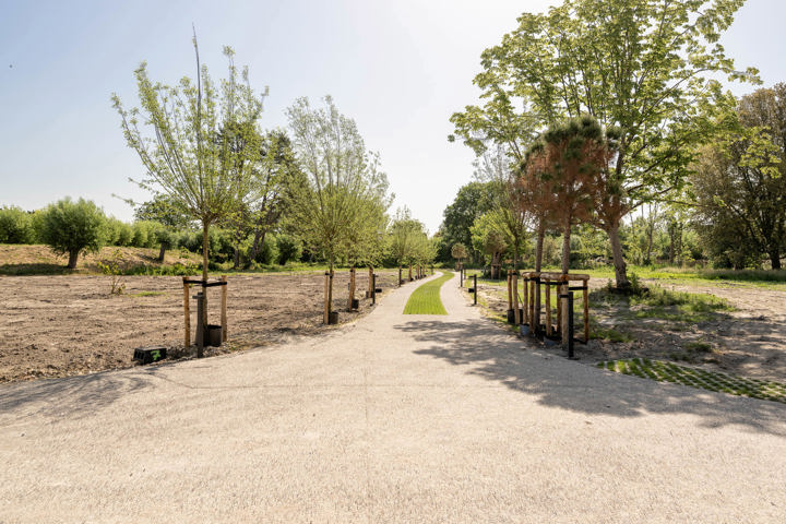 Zoutedijk 3