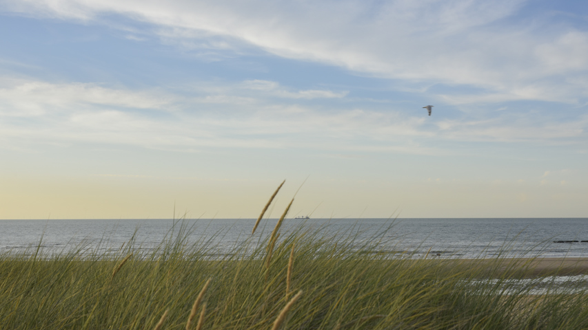 Stijlvol appartement met frontaal zeezicht
