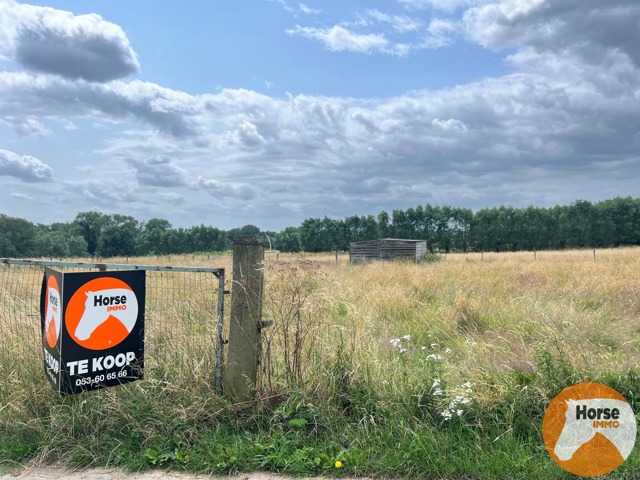 MELDERT - Weide op +/- 40Are 19