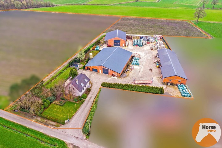 RAVELS - Landbouwwoning met bijhorende loodsen op ca. 1,3 Ha 10