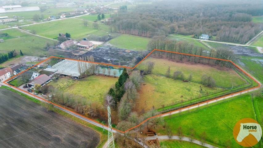 SINT-KATELIJNE-WAVER - Woning met serre en loods op 2,93 hectare! 13