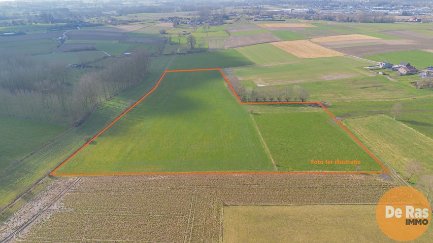 HILLEGEM – Landbouwgronden te koop 4