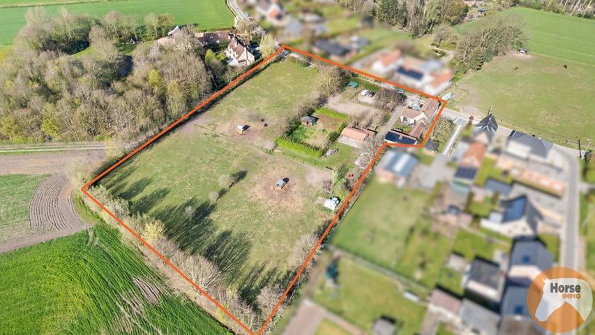 BERLARE - Instapklare woning met stallen en weides 6
