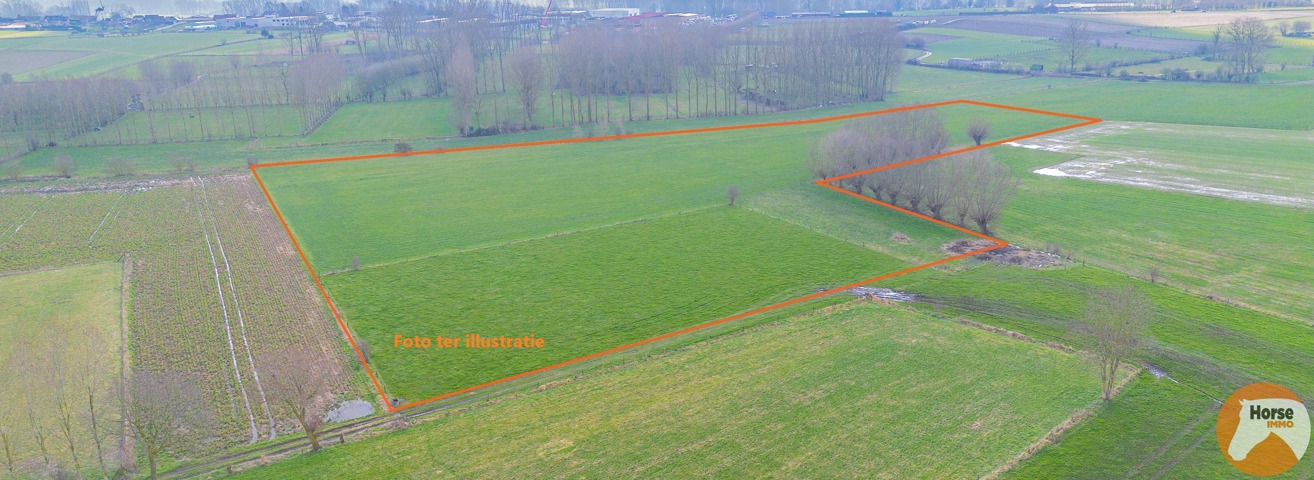HILLEGEM – Landbouwgronden te koop 1