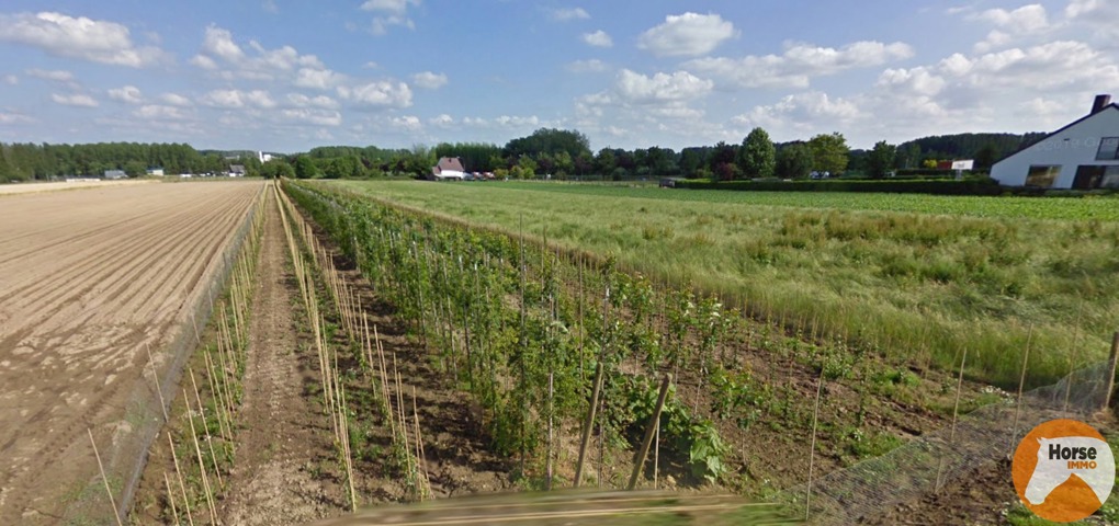 OORDEGEM - Landbouwgrond op 22a 30ca 16