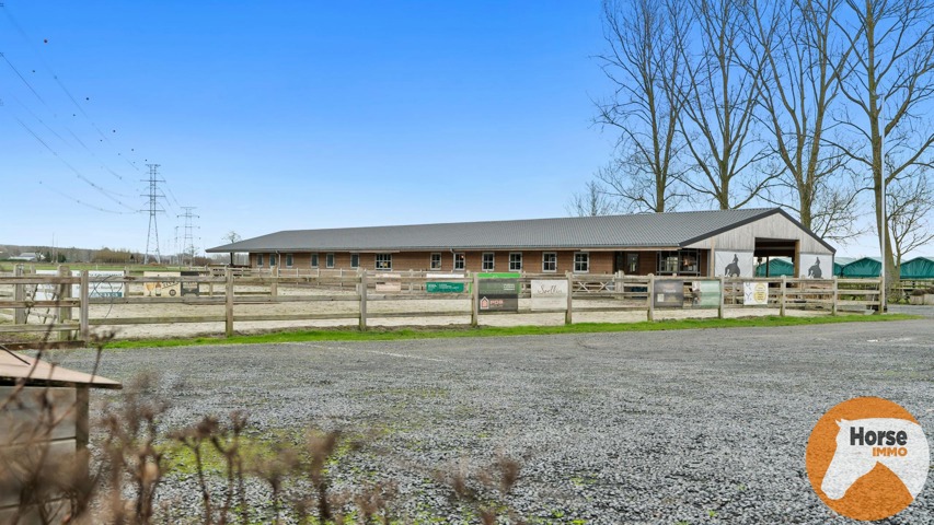 DAMME – Instapklare paardeneigendom, piste en extra woonhuis 27