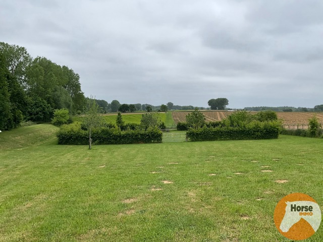 GERAARDSBERGEN - Rustig gelegen weide - 1,04 ha 19