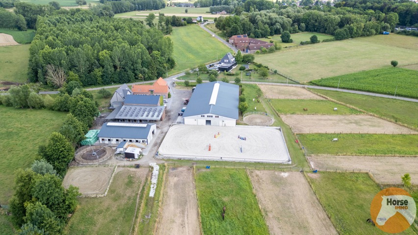 DILBEEK - Unieke paardeninfrastructuur op +-5,6ha 7