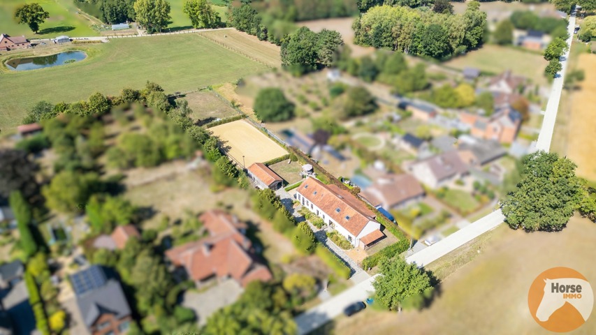HAM - Langgevelhoeve met stallen en piste 1