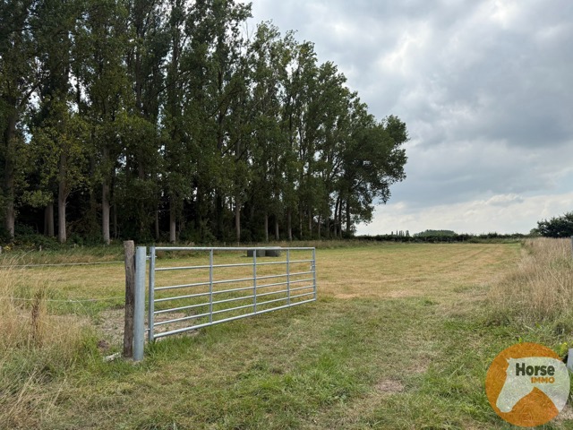 ROOSDAAL - Goed bereikbare weide op +-45a 7