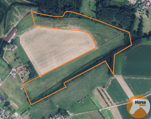 ZOTTEGEM - +/- 8HA Weide en +/-2,8HA bos 24