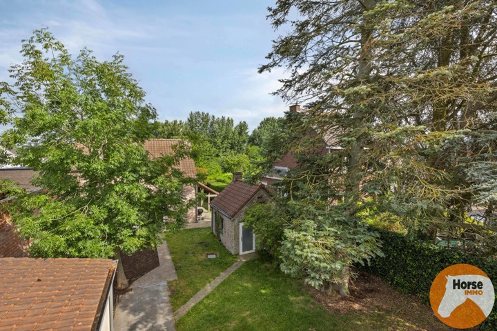 BURST - Instapklare woning met bijgebouw en ruime tuin/weide 1