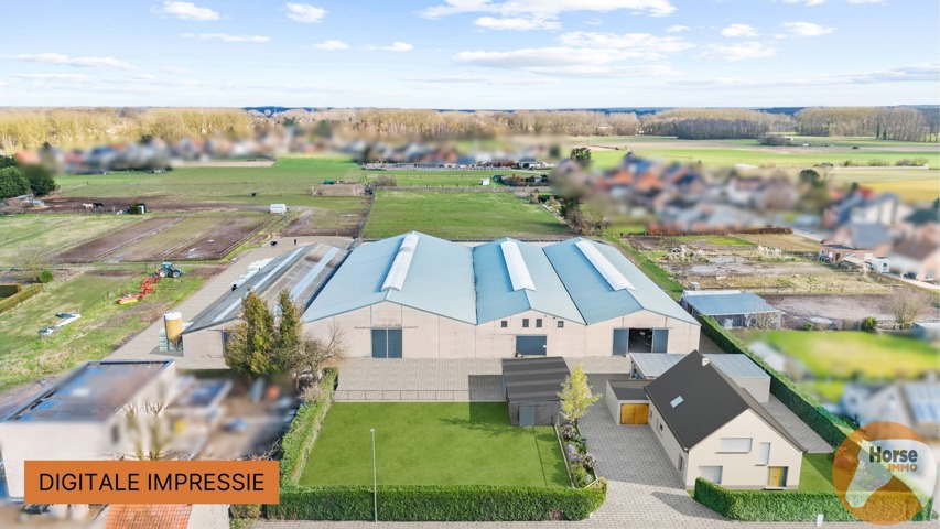 KAMPENHOUT - Professionele paardenaccommodatie op 4ha28 16