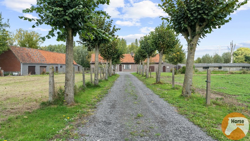 DEINZE - Landbouwwoning op +/-1,2HA 1