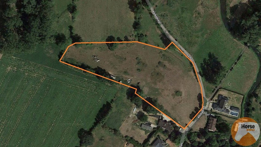 TONGEREN - Weide op +/- 1,5 ha 14