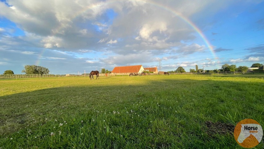 REET – 10 paardenstallen, buitenpiste & weides 1