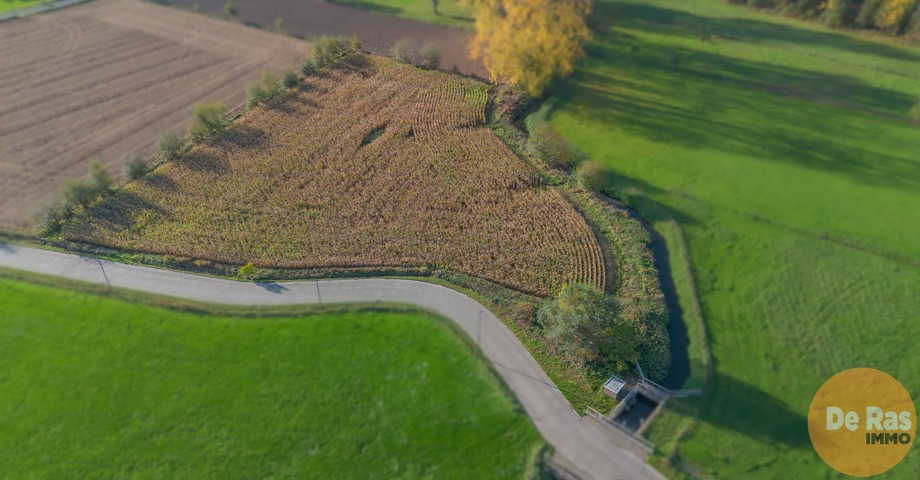 AALST - Landbouwgrond/weide 81a 1