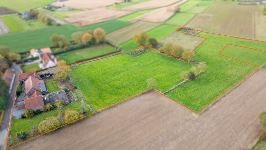 ASSE - Te renoveren hoeve met ruime schuur op 1,85 ha 6