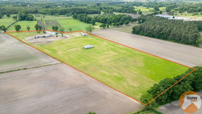 BOCHOLT - Weide met stalgebouwen op +/- 4ha35a 1