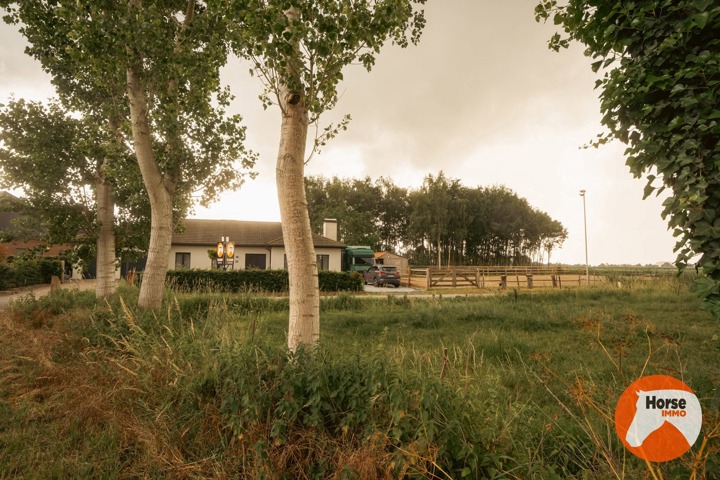 VRASENE - Recent gerenoveerde woning met paardenstallen 5