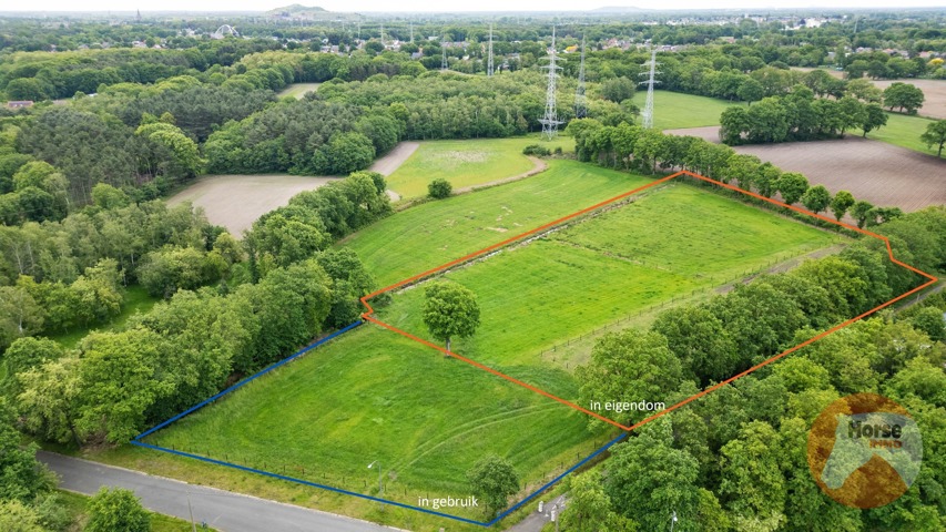 PAAL - Groot weiland met vergund stalgebouw 8