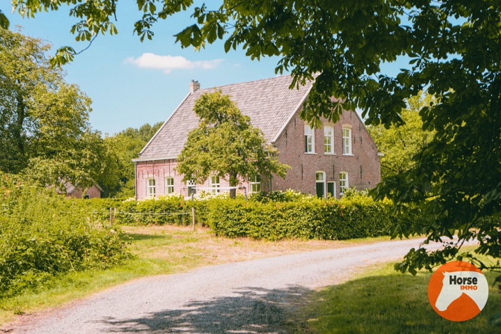 AXEL (NL) - Hoeve op een goede locatie met paardenfaciliteiten 6