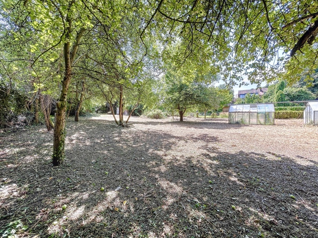 Terrain à bâtir - à vendre - 1310 La Hulpe