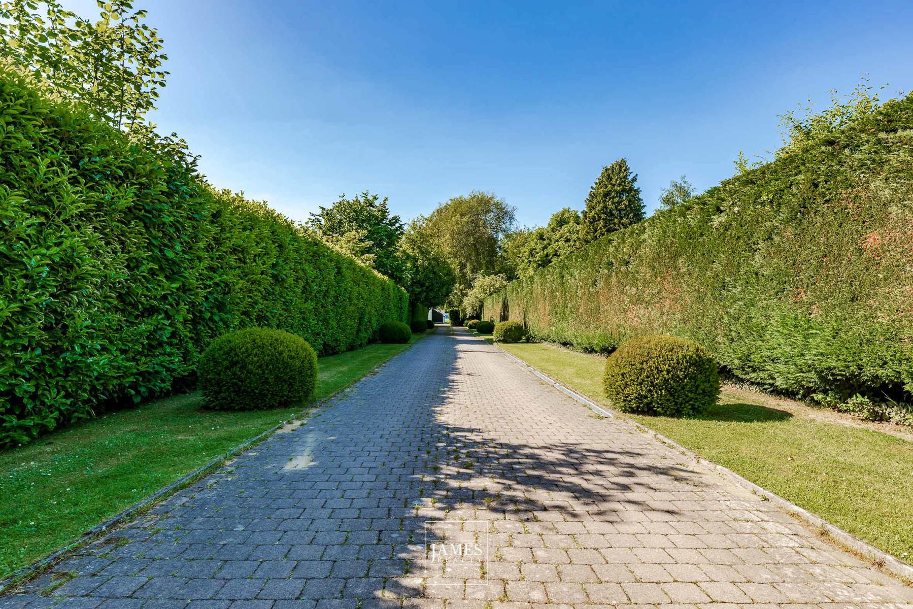 Propriété sur terrain de fond avec vue sur les champs à Ohain - Image 16