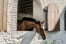 Une ferme équestre datant du 18ème