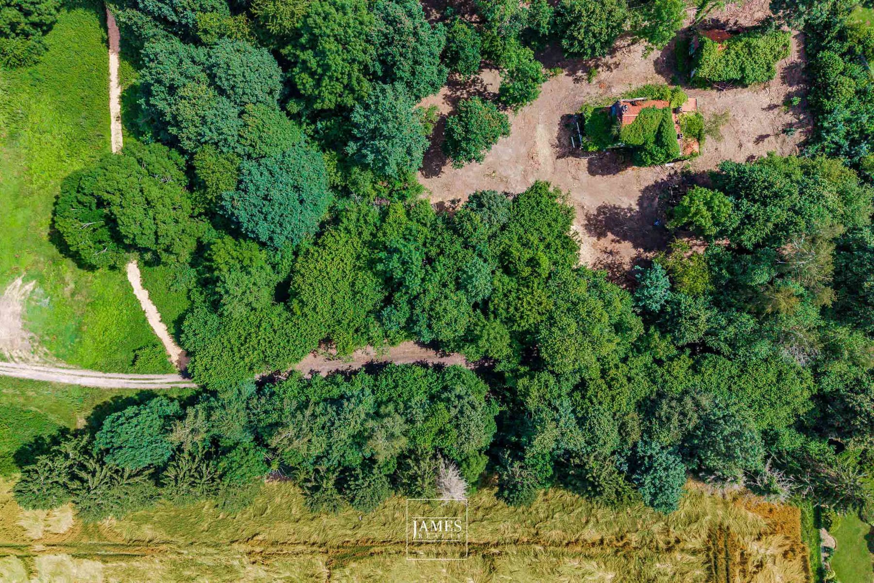 DOMAINE DE LA HULPE