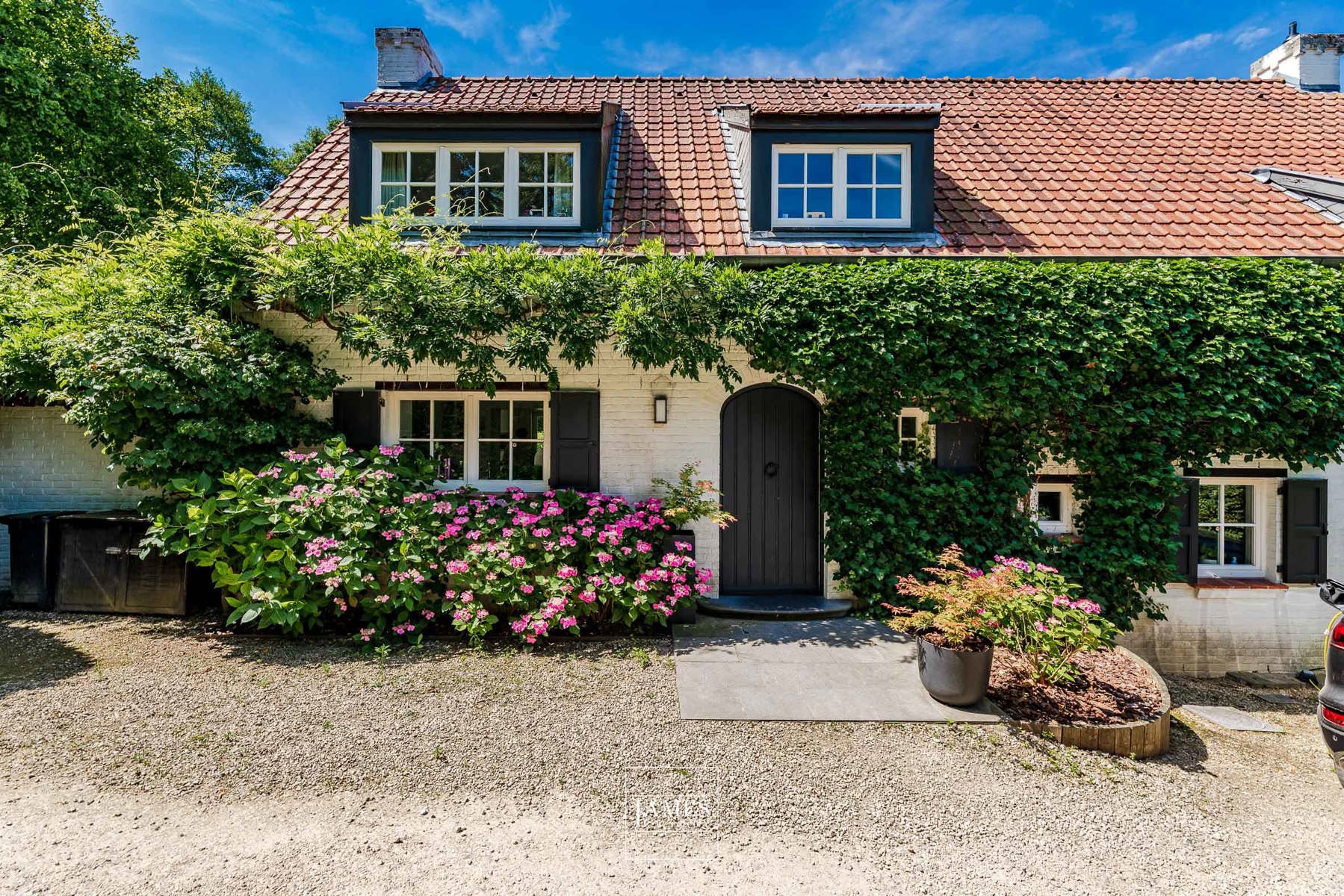 Termeulen 62 - Image 1