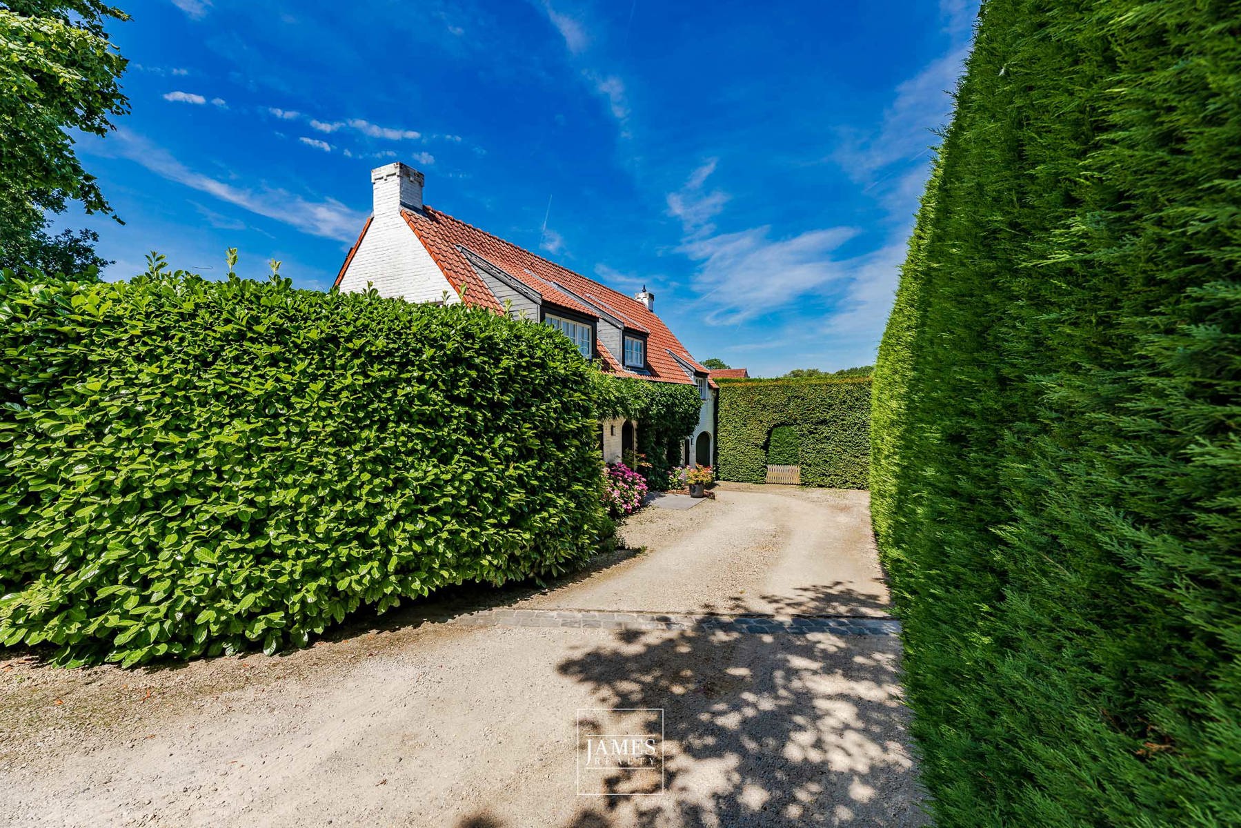 Termeulen 62 - Image 3