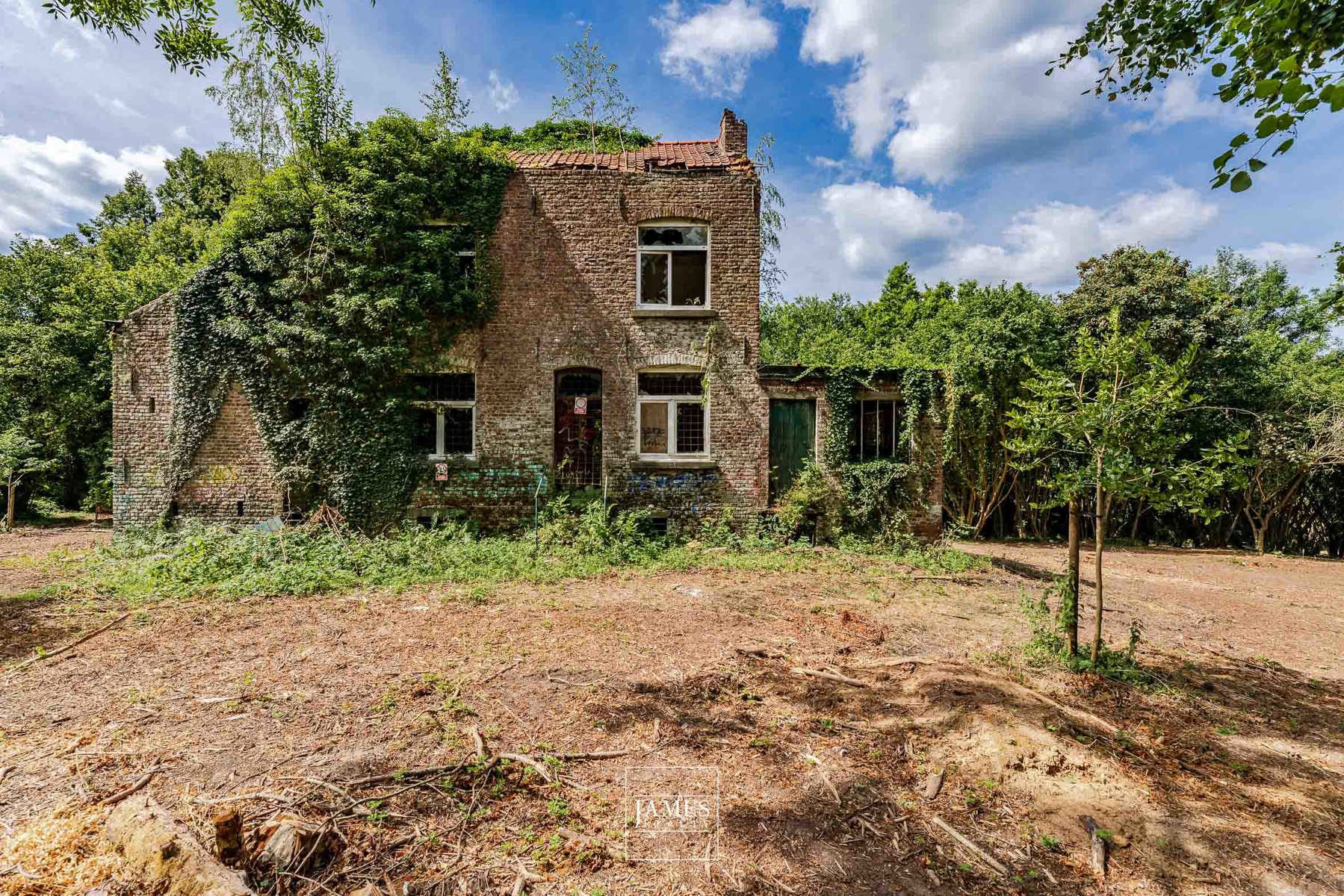 DOMAINE DE LA HULPE - Image 12