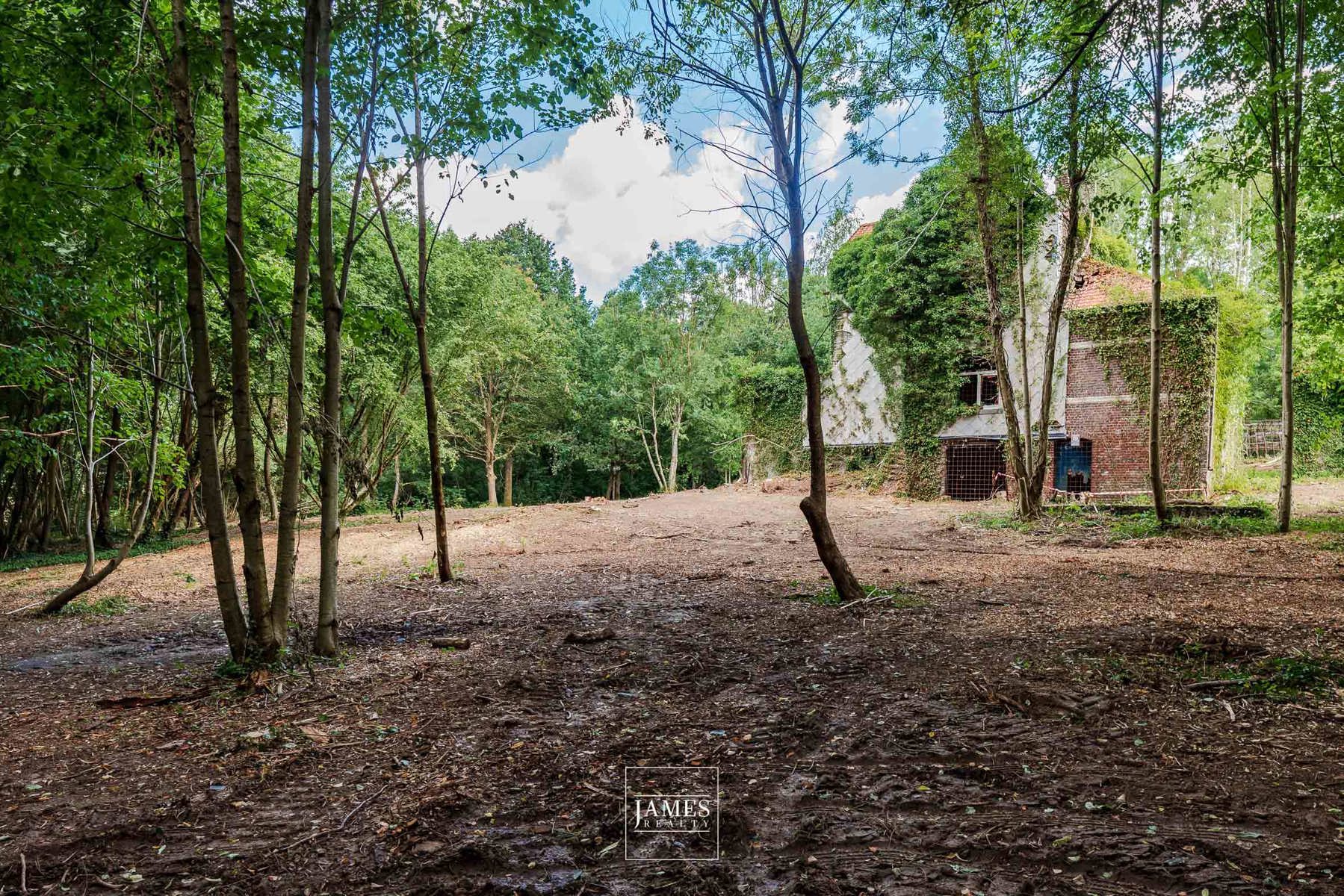 DOMAINE DE LA HULPE - Image 14
