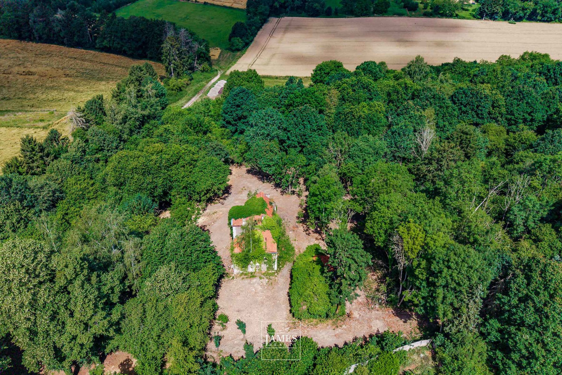 DOMAINE DE LA HULPE - Image 2